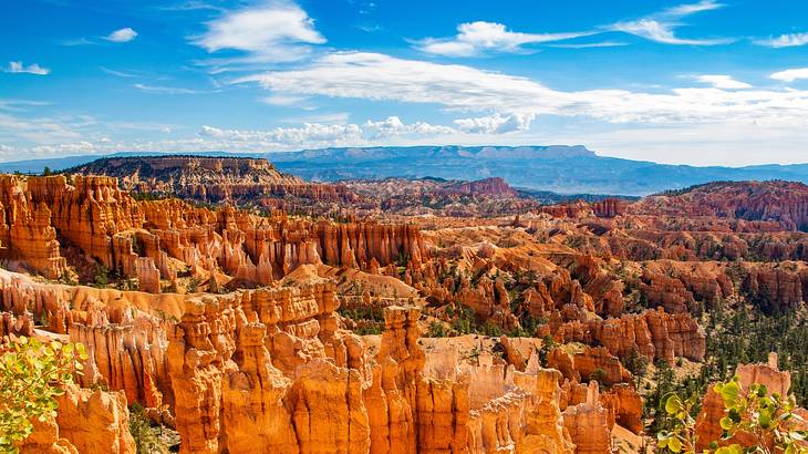 A view over a red rock canyon under a blue sky with white clouds