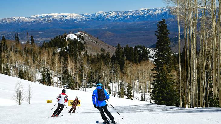 A snowy mountain with people skiing on it next to alpine trees and other mountains