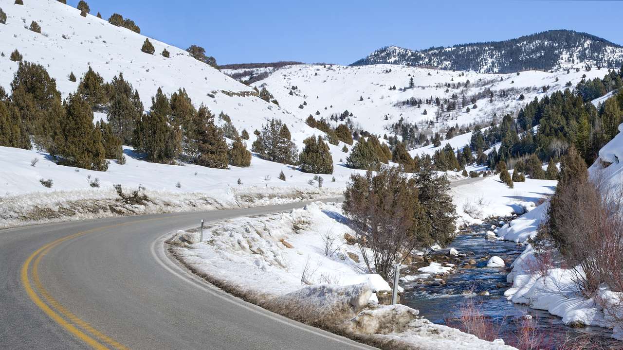 A road through snowy mountains with alpine trees on either side