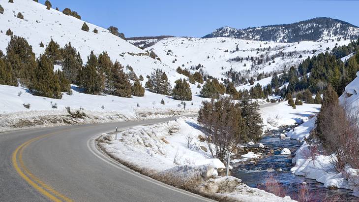 A road through snowy mountains with alpine trees on either side