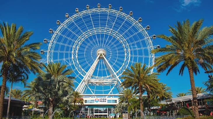 A large Ferris wheel next to palm trees and a bright blue sky