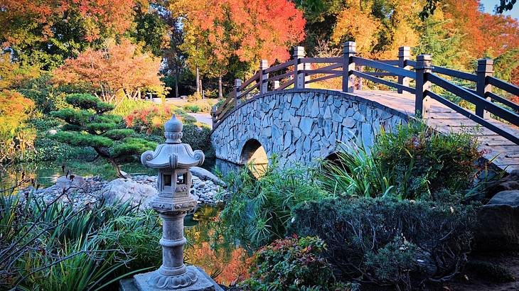 A garden with a stone bridge and stone lamp surrounded by various plants