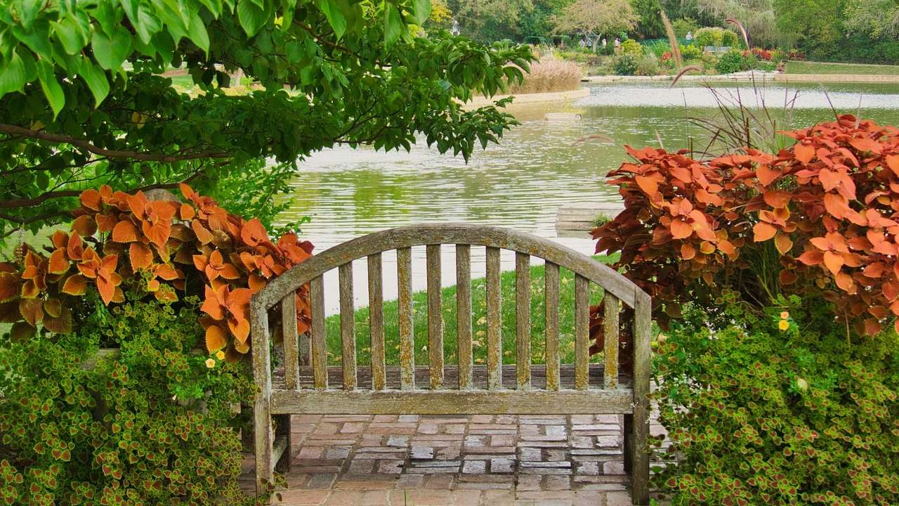 A bench in a garden with a lake in front of it