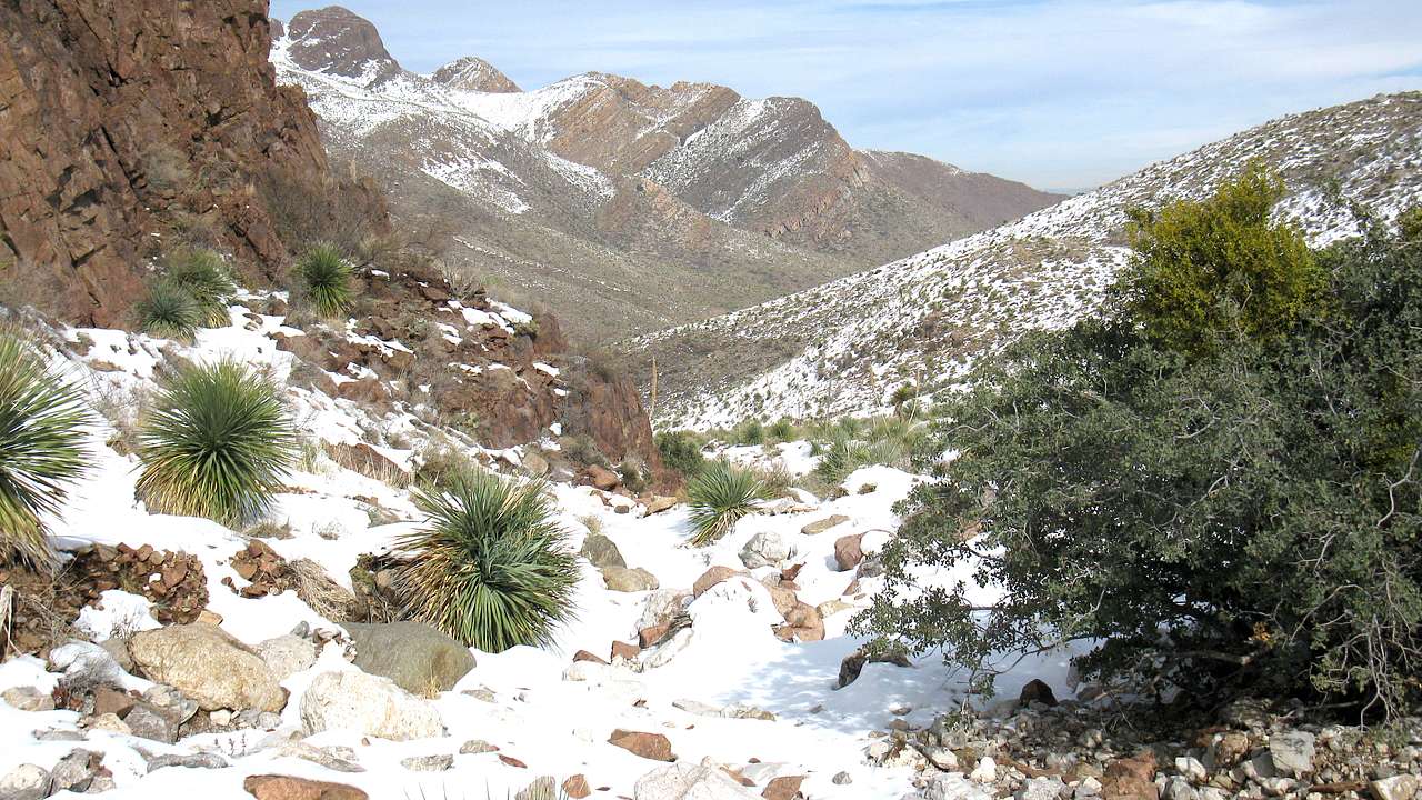 Rocky, snowy ground with sparse shrubs in between hills, with a mountain at the back