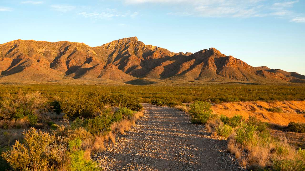 A dirt road in a dry, orange-tinted landscape with shrubs and a mountain at the back
