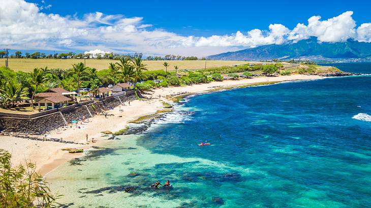 A palm-tree lined white sandy beach next to crystal clear blue water on a nice day