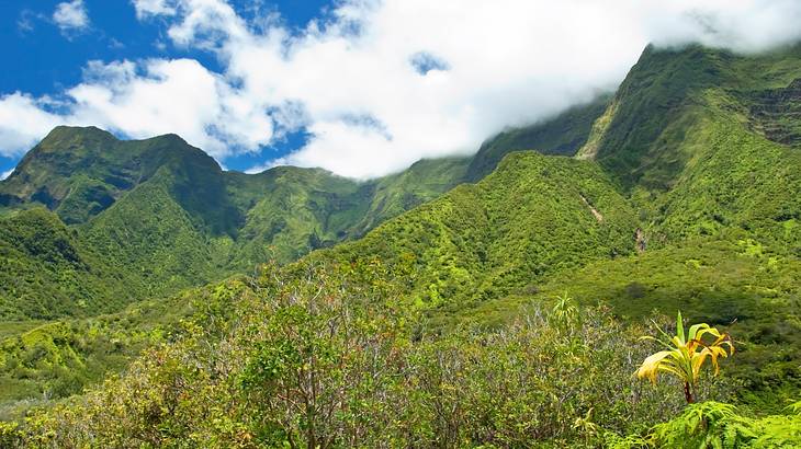 Mountain ranges covered in dense green forest with clouds hovering over them above