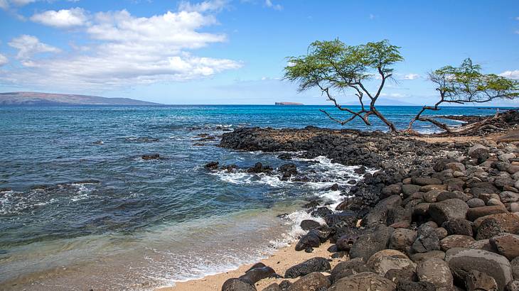 Ocean waves lap against the shore with rugged black rocks under the wispy blue sky