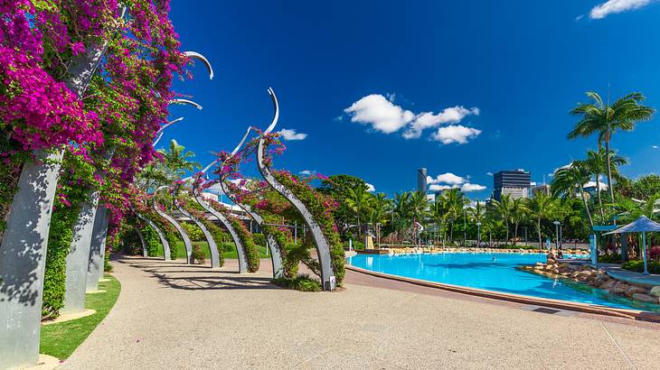 A park with pink flowering plants on the left, palm trees around, and a swimming pool