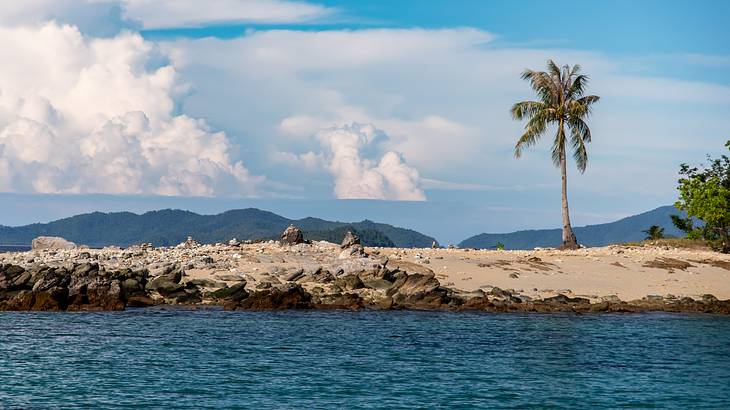 A rocky sand bar with one lone tall palm tree, Palawan, Philippines