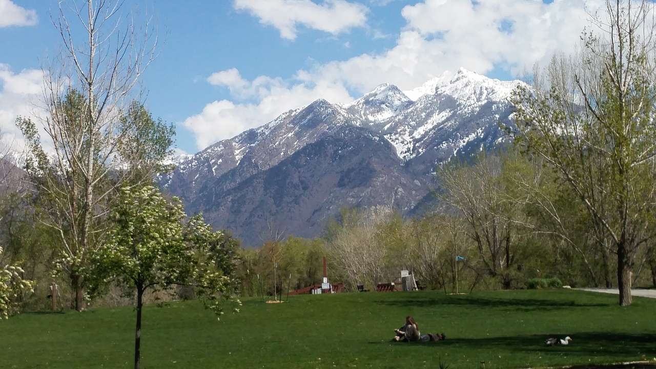 Green grass in the foreground and snow-capped mountains in the background