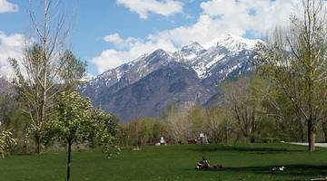 Green grass in the foreground and snow-capped mountains in the background