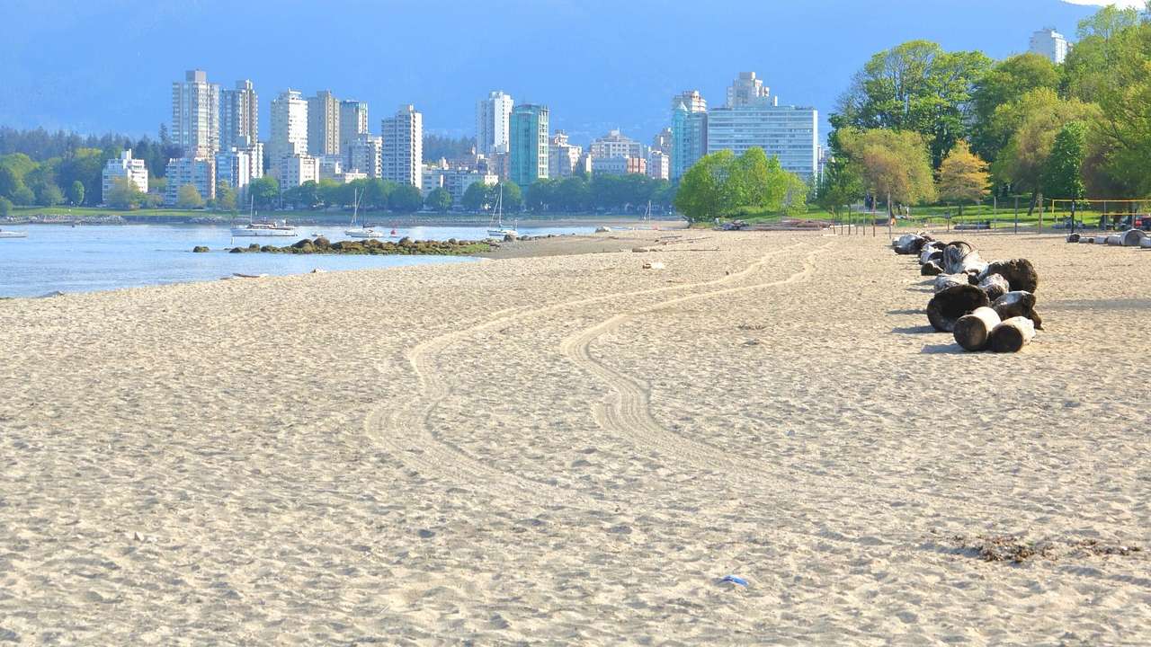 A sandy beach with the ocean, trees, and high rise buildings behind it