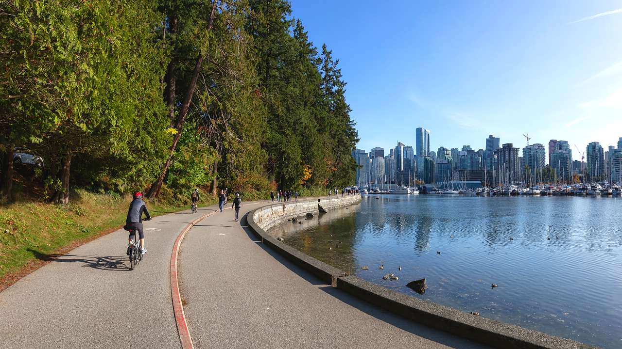 A bike path with people biking next to water, trees, and city buildings