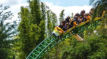 A roller coaster on a track surrounded by green trees
