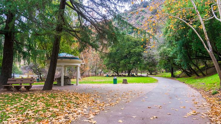 A path with fall leaves on it in a park next to grass, trees, and a small gazebo
