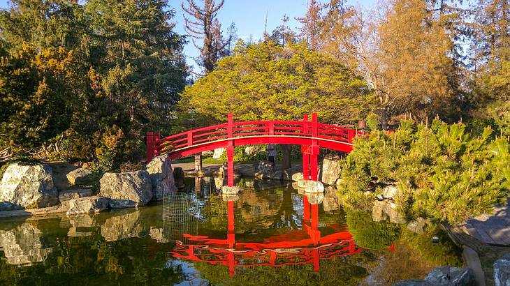 A red bridge over a pond surrounded by green trees