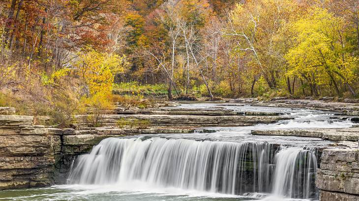 A shallow waterfall flowing into a pool surrounded by a rocks and autumn trees