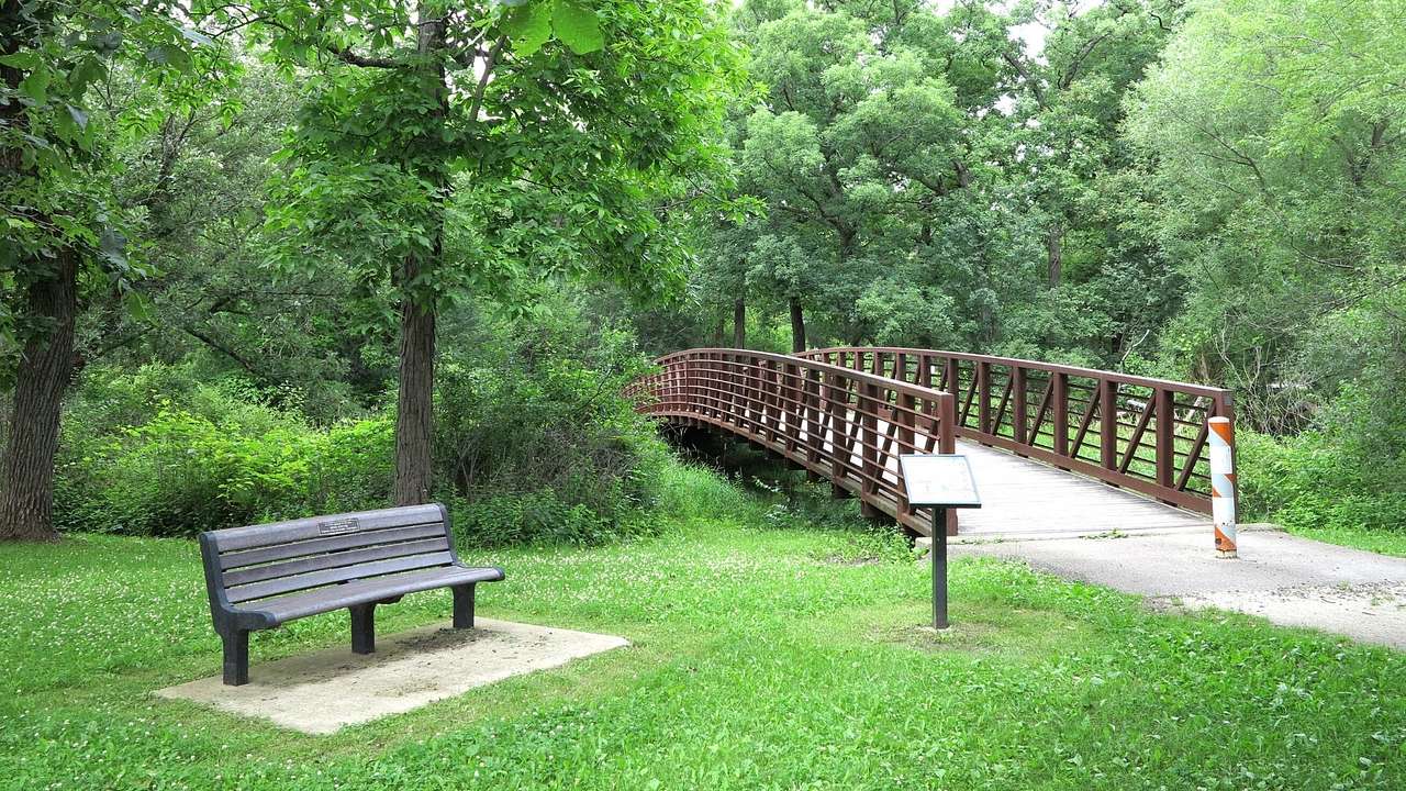 A beach surrounded by green grass beside a pedestrian bridge surrounded by trees