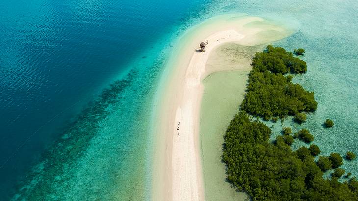 Aerial shot of a white sand bar, clear blue water, and green trees