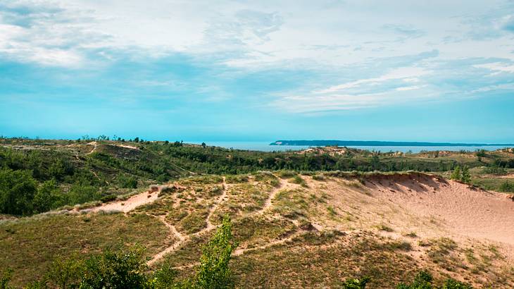 Dunes covered with grass & vegetation, overlooking a shoreline