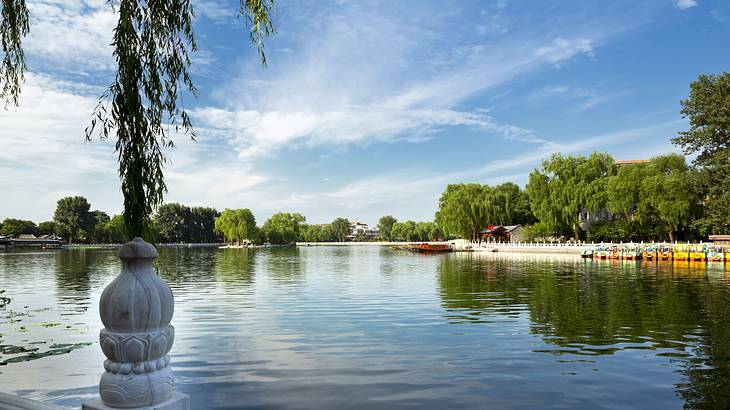 A large lake with many boats parked across the way, surrounded by trees