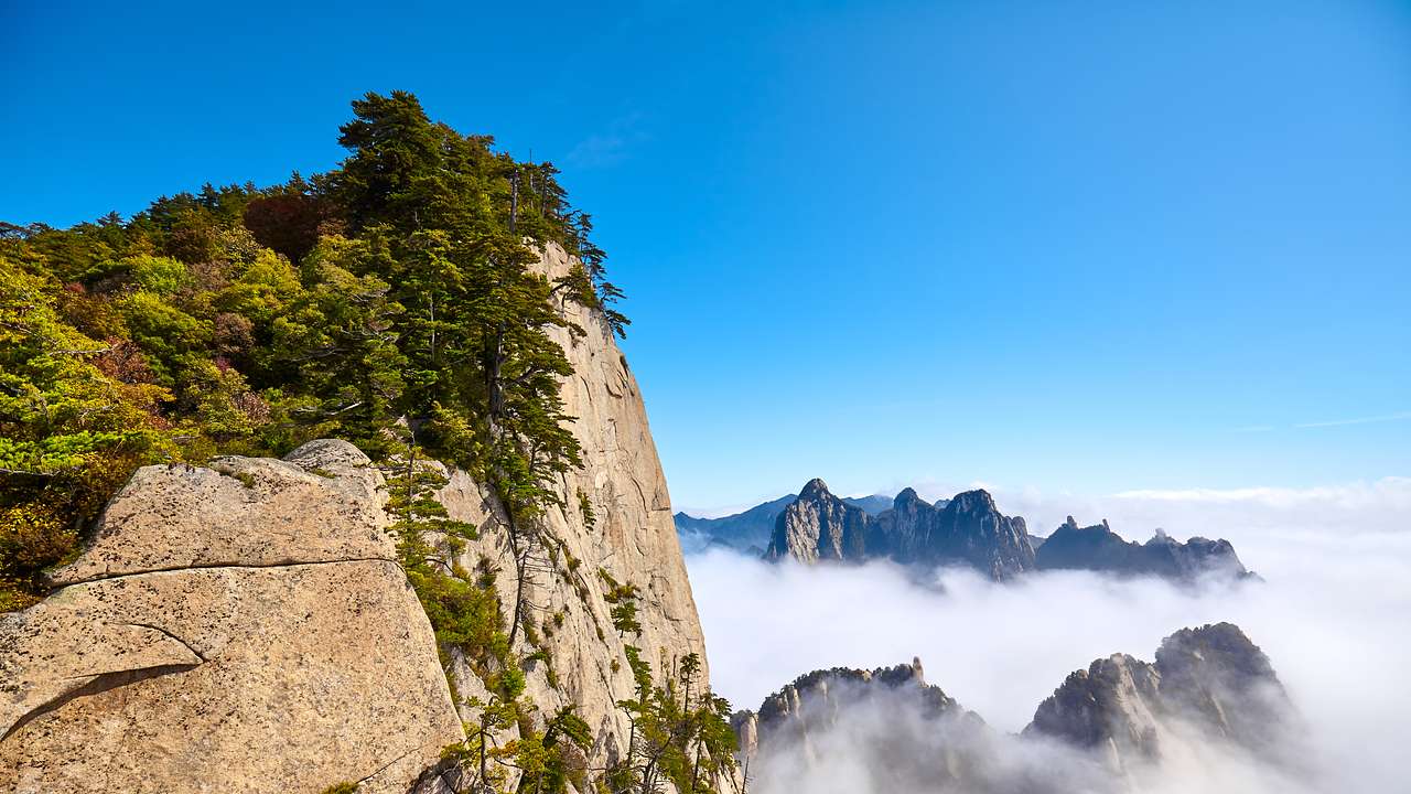 A mountain peak with trees along it, with other mountain tops right above the clouds