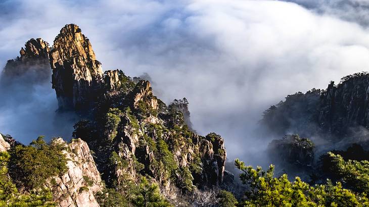 Several rocky mountain summits with trees and bushes, peeking through thick clouds