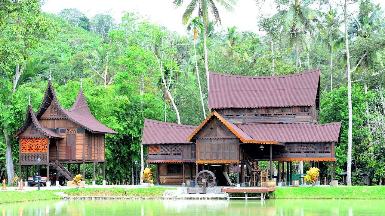Wooden houses with pointed roofs next to tall palm trees and a body of water