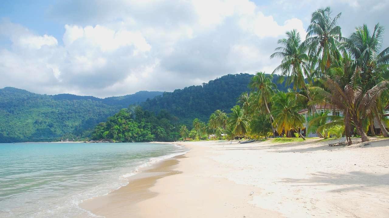 A white sandy beach with palm trees next to mountains under the cloudy sky