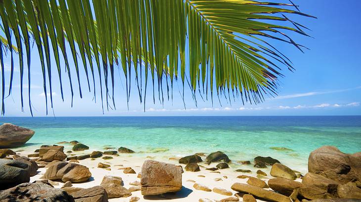 White rocky seashore and turquoise waters with palm leaves in the foreground