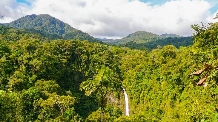 A waterfall in the middle of the jungle on a sunny day