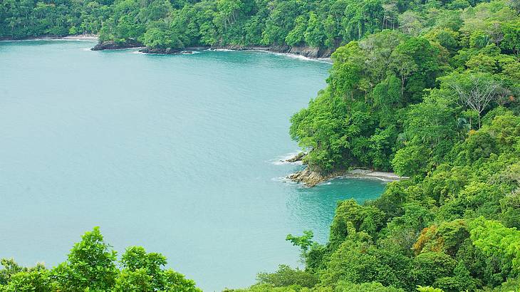 An aerial view of an island covered in lush greenery next to the turquoise ocean