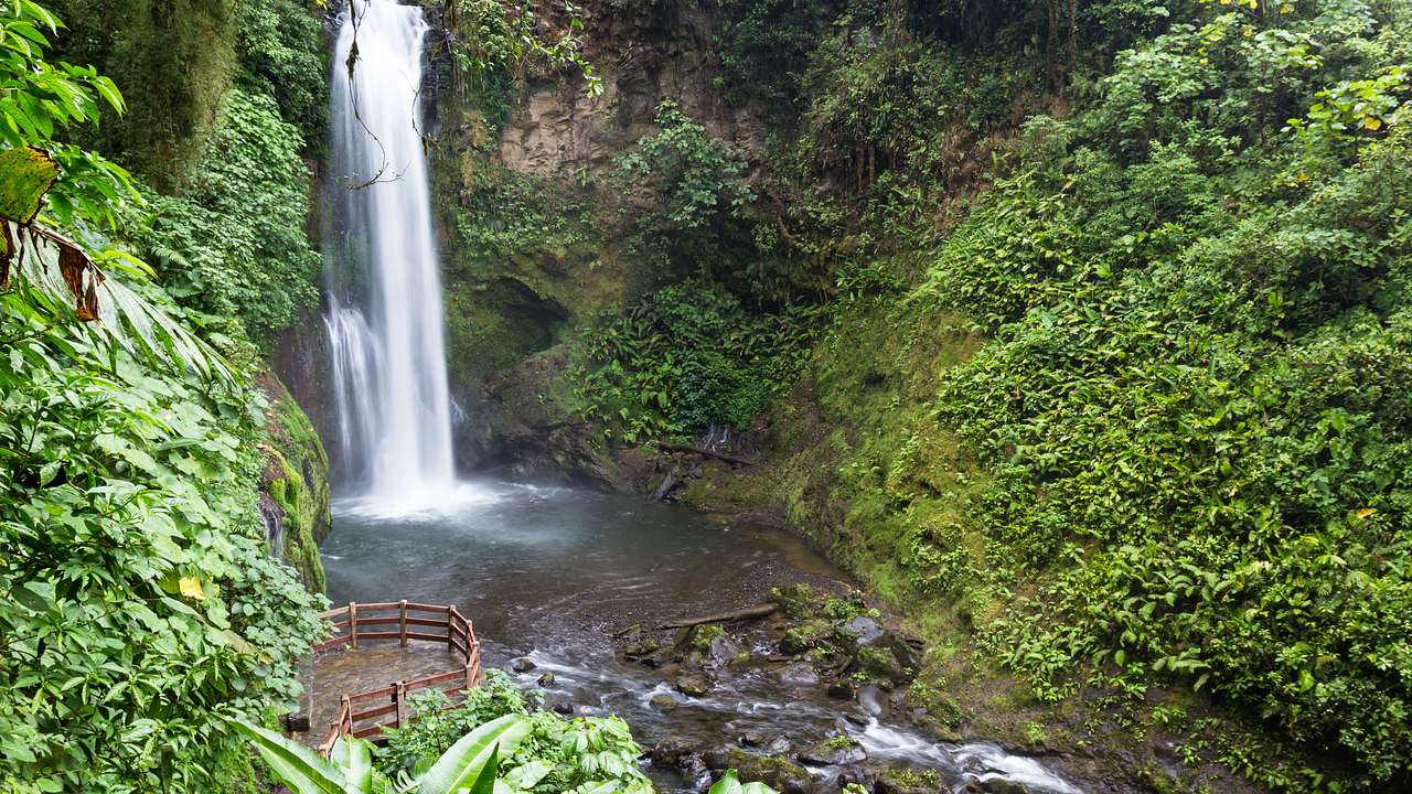 A high waterfall surrounded by lush vegetation inside the jungle