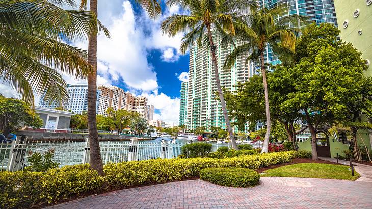 A landscaped bricked path near a river, tall skyscrapers, and palm trees