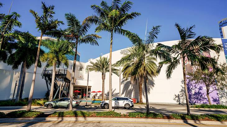 A white building with palm trees and cars in the foreground