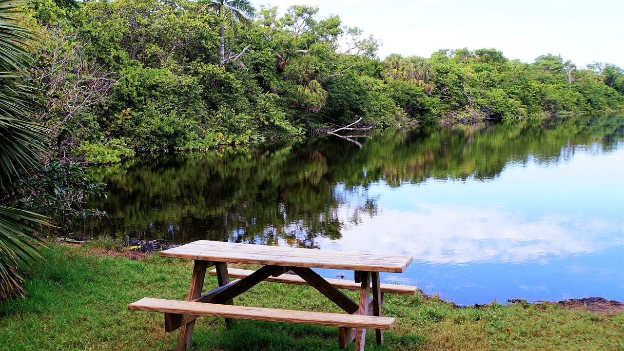 A picnic table by a lake surrounded by many trees
