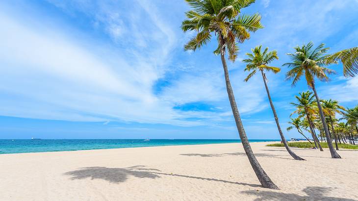 Fort Lauderdale Beach is one of the best-known landmarks in Fort Lauderdale