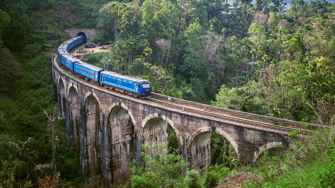 A blue train on an arched bridge surrounded by trees