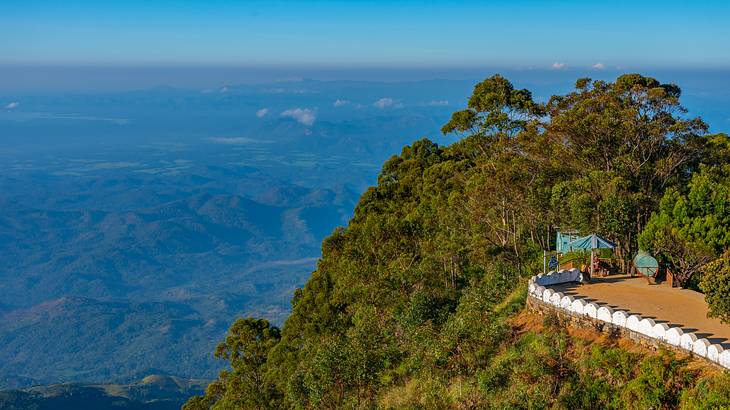 Hilltop with trees and a viewing point overseeing mountain ranges on a nice day