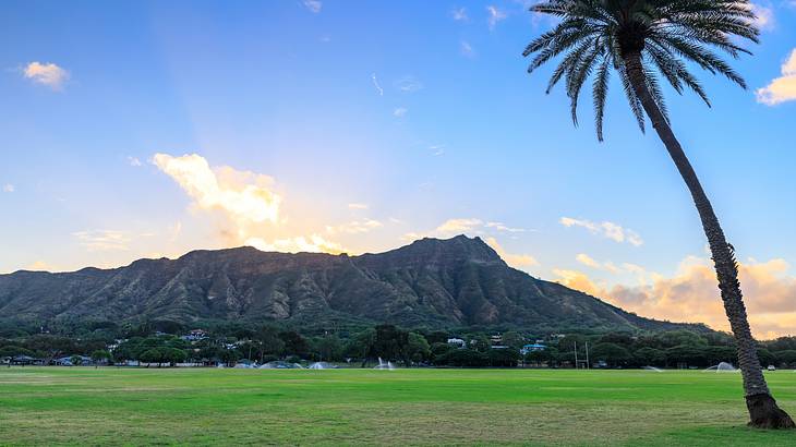 A park with a palm tree, with the sun rising behind a mountain in the background