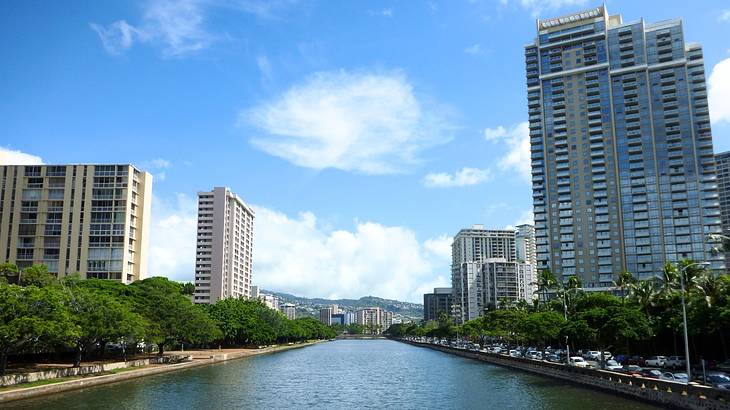 A water canal with trees and high-rise buildings on either side on a nice day