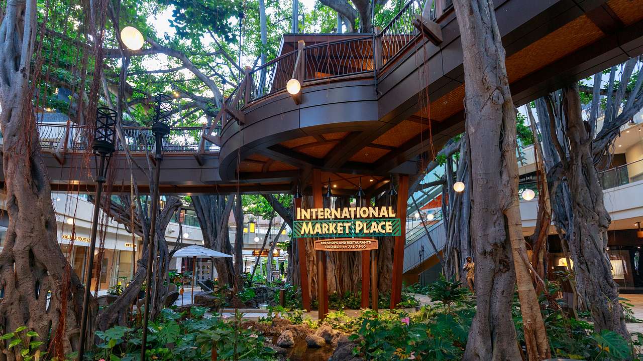 A wooden walkway with a sign that reads "International Market Place," and vine trees