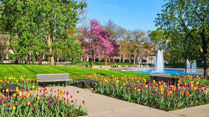 A park with colorful tulips, walking paths, benches, and a water fountain