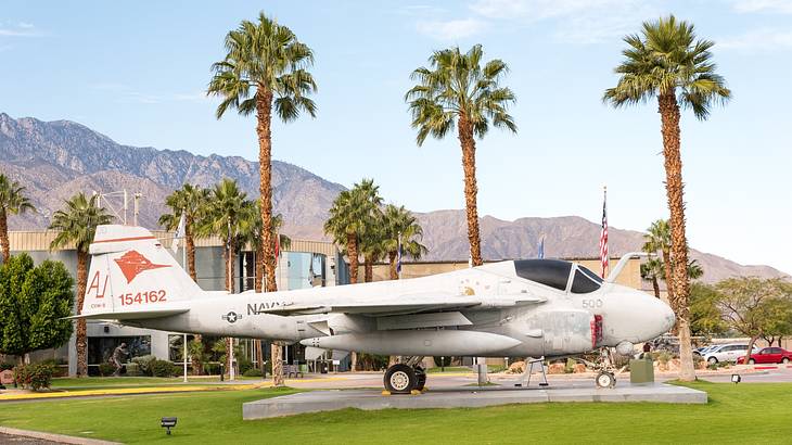 An airplane on the grass next to palm trees with a hill in the background