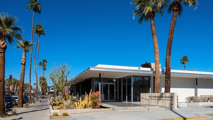 A building with a "Palm Springs Art Museum" sign next to palm trees and desert plants