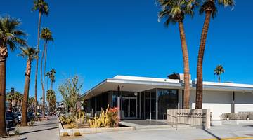 A building with a "Palm Springs Art Museum" sign next to palm trees and desert plants