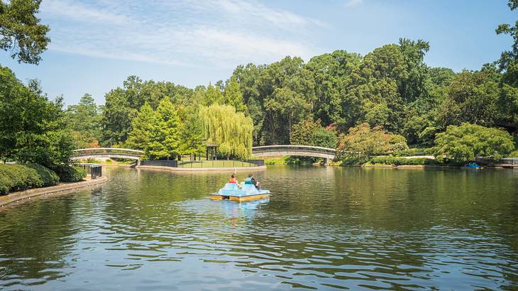 A lake with a pedal boat on it surrounded by trees A lake with a pedal boat on it surrounded by trees