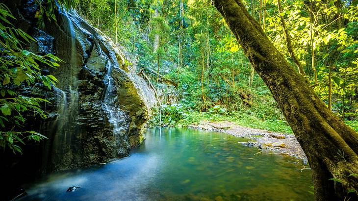 Water cascading down rocks into a pool amongst lush greenery Water cascading down rocks into a pool amongst lush greenery