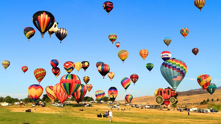Colorful hot air balloons floating above the grass next to a blue sky